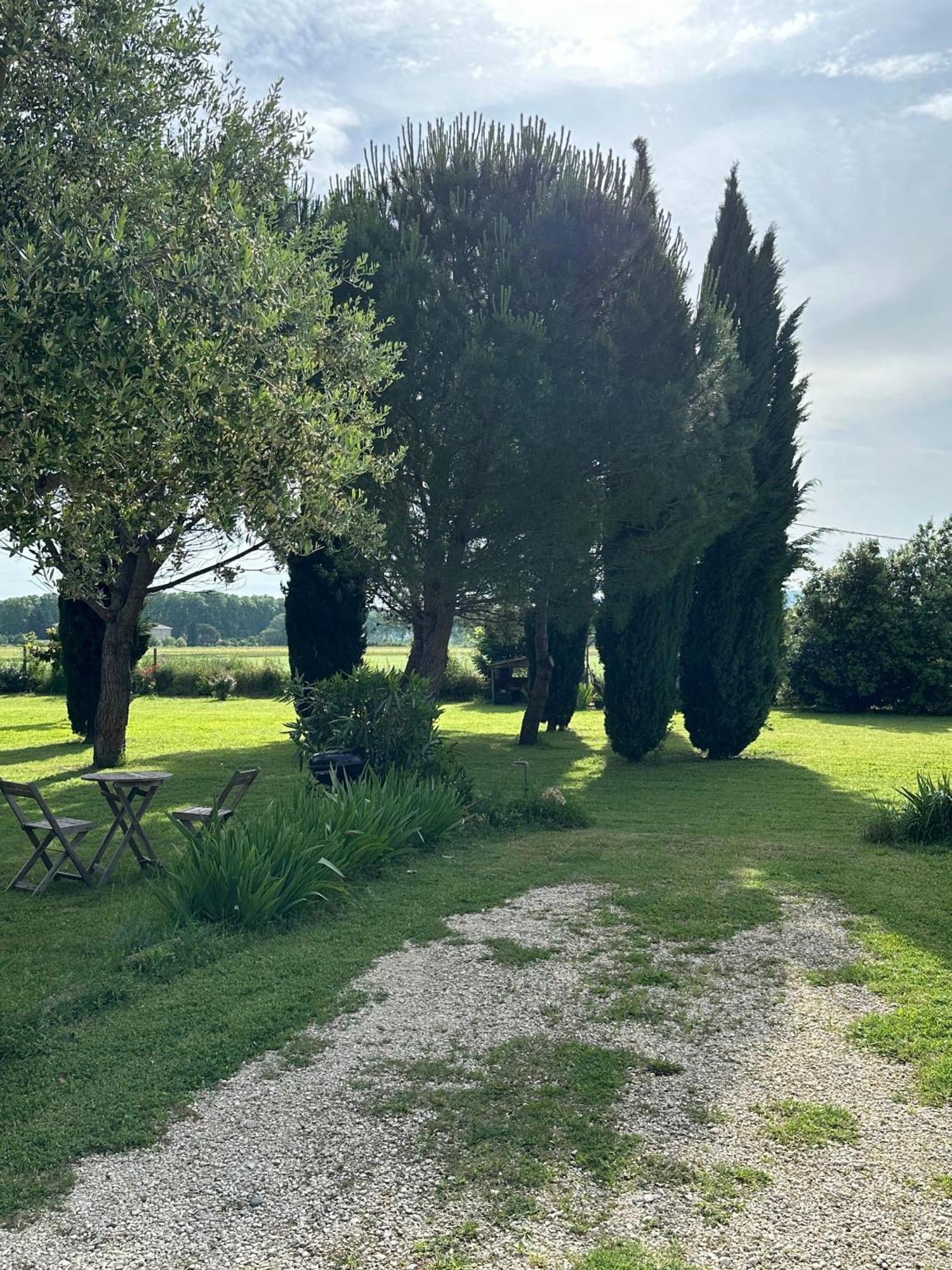 Maisonnette Independante Au Calme Dans Un Grand Jardin Chateauneuf-du-Rhone Exterior photo