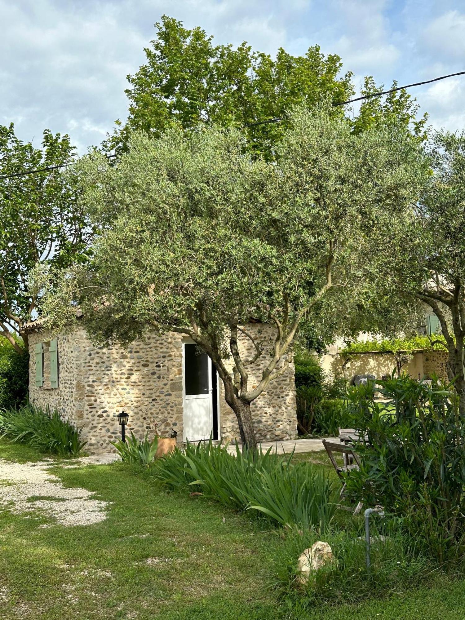 Maisonnette Independante Au Calme Dans Un Grand Jardin Chateauneuf-du-Rhone Exterior photo