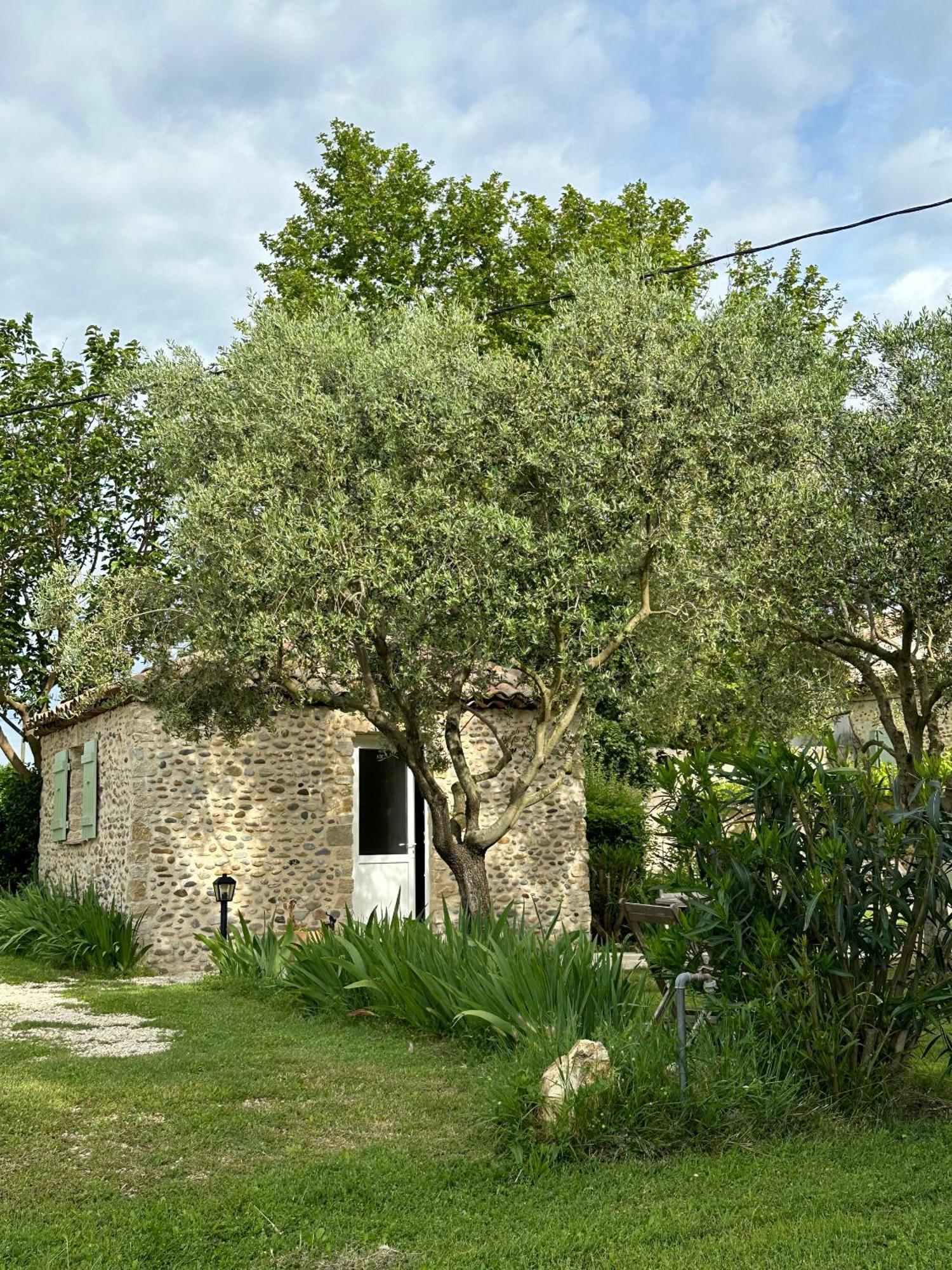 Maisonnette Independante Au Calme Dans Un Grand Jardin Chateauneuf-du-Rhone Exterior photo